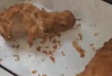 Фото - Курица с отвратительными живыми добавками испортила людям аппетит