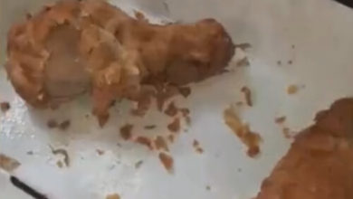 Фото - Курица с отвратительными живыми добавками испортила людям аппетит