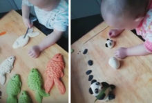 Фото - Малыш прекрасно знает, как сделать кулинарный процесс забавным и интересным