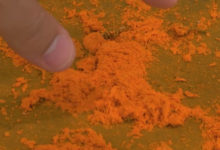 Фото - Оранжевая пыль, напугавшая горожан, оказалась грибком