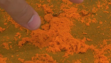 Фото - Оранжевая пыль, напугавшая горожан, оказалась грибком