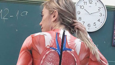Фото - Учительница очень наглядно объяснила детям человеческую анатомию