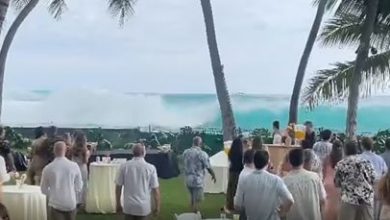 Фото - Огромная волна чуть не смыла свадьбу