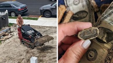 Фото - Во время ремонта под домом обнаружился клад из старых долларов