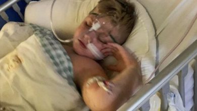 Фото - Юный пациент несколько лет страдал не от астмы, а от застрявшей в горле пластиковой игрушки