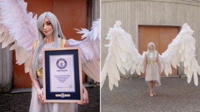 Фото - Любительница косплея создала огромные крылья ради мирового рекорда