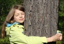 Фото - Люди, любящие природу, приняли участие в чемпионате по объятиям с деревьями
