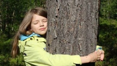 Фото - Люди, любящие природу, приняли участие в чемпионате по объятиям с деревьями