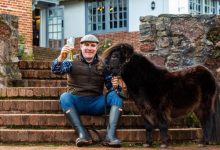 Фото - Пони, любящий пиво, стал мэром английской деревни