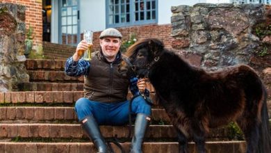 Фото - Пони, любящий пиво, стал мэром английской деревни