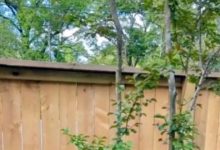 Фото - Предприимчивый мужчина воспользовался тем, что соседи поставили новый забор