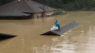 Фото - Спасаясь от наводнения, девушка не забыла прихватить любимую собаку