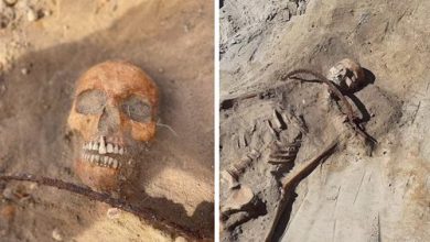 Фото - Археологи обнаружили останки «женщины-вампира», пригвождённые к земле серпом