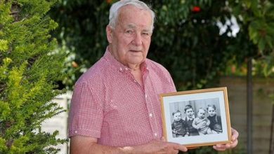 Фото - Давно потерянные братья планируют встретиться после 77 лет разлуки