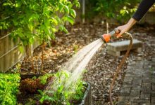 Фото - Домовладелица узнала, что соседи привыкли пользоваться её водой для полива своего сада
