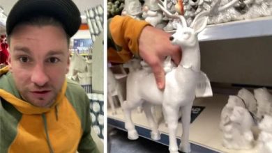 Фото - Покупатель разглядел гениталии у фигурки рождественского оленя
