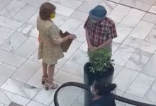 Фото - Пожилые покупатели стащили растение из торгового центра