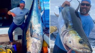 Фото - Рыбаки не получили выигрыш за крупного тунца, так как провалили проверку на детекторе лжи