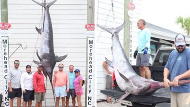 Фото - Рыбаки вступили в 2,5-часовую схватку с меч-рыбой, принесшей им рекорд штата
