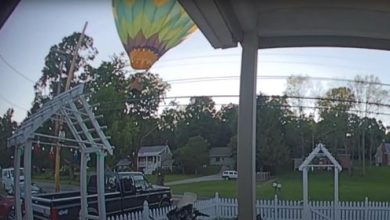 Фото - Воздушный шар совершил аварийную посадку возле жилого дома