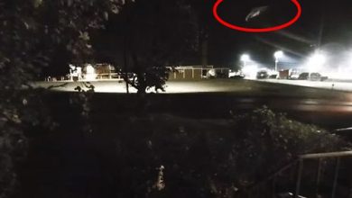 Фото - Камера видеонаблюдения запечатлела бесшумный НЛО, попытавшийся применить маскировку