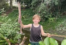 Фото - Мальчик нашёл гигантского земляного червяка длиной около метра