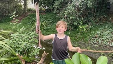 Фото - Мальчик нашёл гигантского земляного червяка длиной около метра