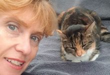 Фото - Вещий сон помог хозяйке найти потерявшуюся кошку в заброшенной церкви