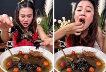 Фото - Блогерше грозит тюрьма за поедание супа с летучими мышами