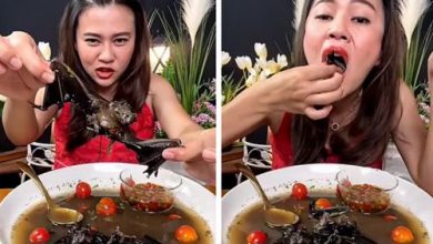 Фото - Блогерше грозит тюрьма за поедание супа с летучими мышами