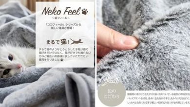Фото - Компания приступила к производству постельного белья, которое имитирует кошачий мех