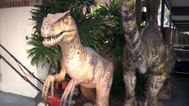 Фото - Статуя в виде динозавра была похищена с выставки